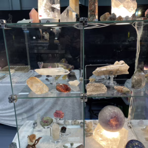 IMG_6332-300x300 IMG_6332-300x300