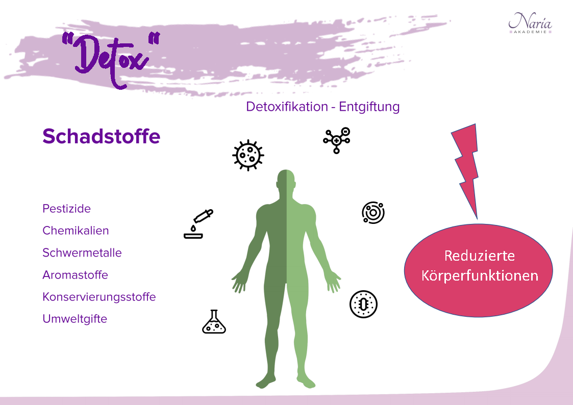 Webinar_Ausleitung_Page3 Webinar_Ausleitung_Page3